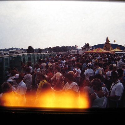 Tray 31 - 2-81 to 8-81