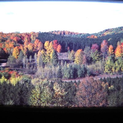 Tray 32 - 8-81 to 2-82