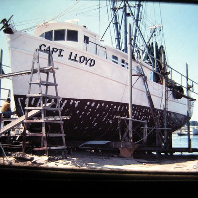 Tray 42 - 11-84 to 3-85