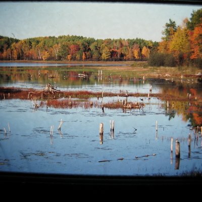 Tray 44 - 6-85 to 10-85