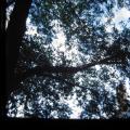 IMG_0074