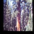 IMG_0061