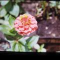 IMG_0180