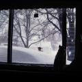 IMG_0019