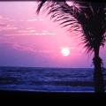 IMG_0070