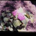 IMG_0157