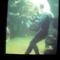 IMG_0061