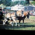 IMG_0088